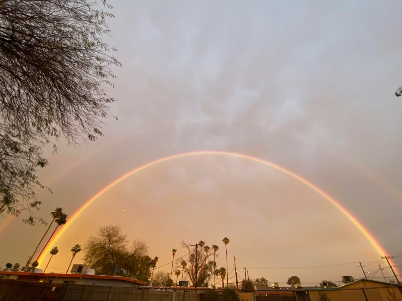 A wide rainbow over clusters of trees and the roofs of buildings